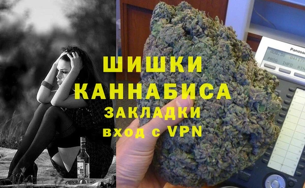 дмт Заводоуковск