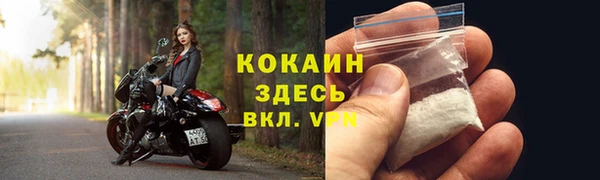 дмт Заводоуковск