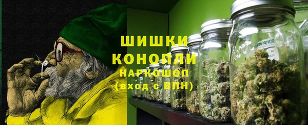 дмт Заводоуковск