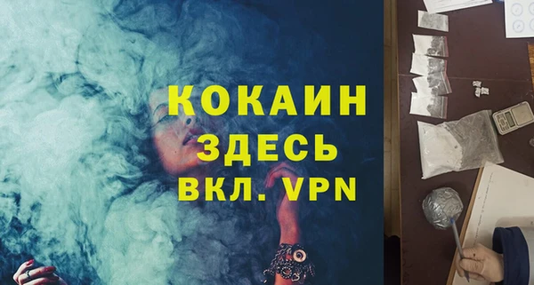 дмт Заводоуковск