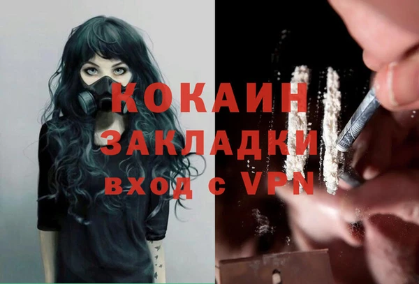 дмт Заводоуковск